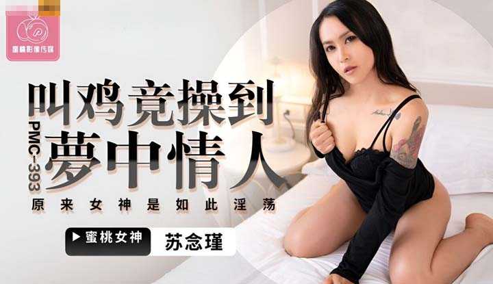 叫鸡竟操到梦中情人 原来女神是如此淫荡 (PMC-393)