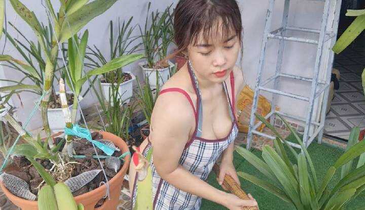 ladyvietnam穿这样清理庭院让邻居大饱眼福