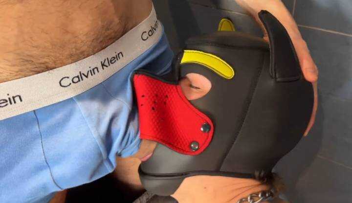 O站大神 maxime andolini～还是人形犬宠物最听话了