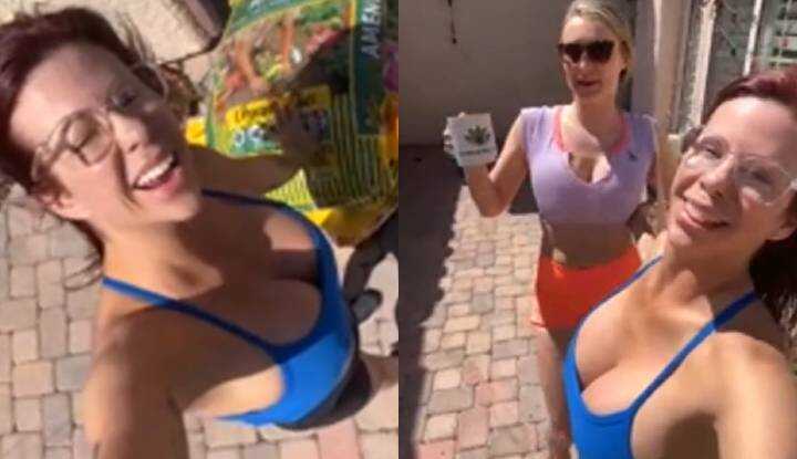 Alexis Fawx-与巨乳邻居享受阳光沐浴