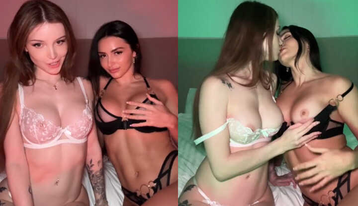 Dainty Wilder-要来和Caryn一起玩游戏，当我说到“绿灯”的时候就可以抚摸了