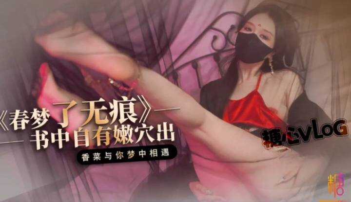 春梦了无痕之书中自有嫩穴出 国风古装淫媚性爱