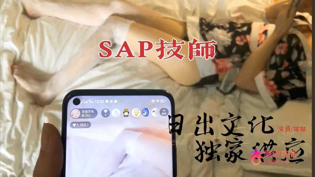 SAP技师极品服务