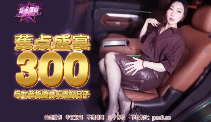与女老板激情车震的日子 (JDSY-300)