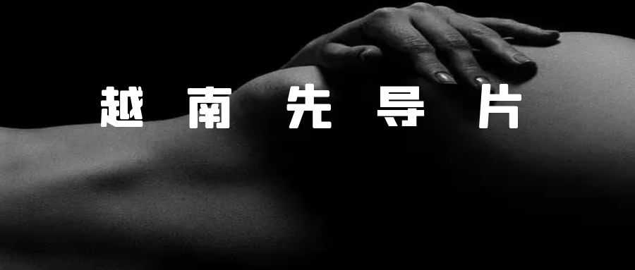 第五季 越南季先导片