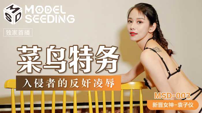 菜鸟特务 入侵者的反奸凌辱 (MSD003)