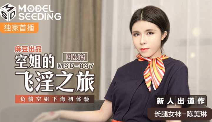 空姐的飞淫之旅 困顿篇 负债空姐下海初体验 (MSD037)