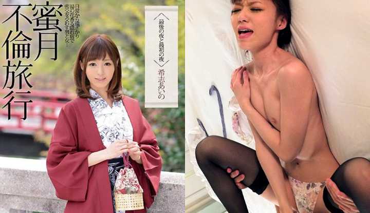 [日本] 希志爱野破坏版AV～蜜月不伦旅行的最后与最初之夜～ (IPZ-501)