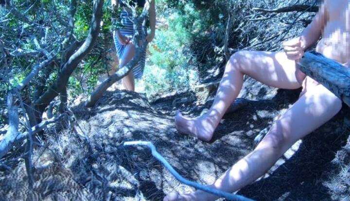 [欧美]  露出系 Gentlyperv～偷偷在山上打手枪被游客撞见