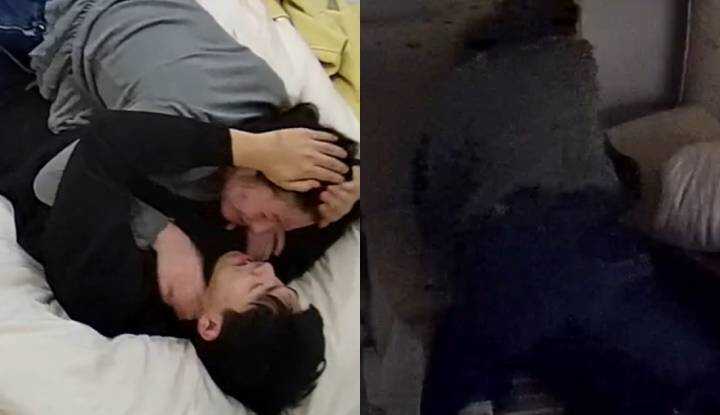 当贺尔蒙充满整间房间时，就是做爱配种之时