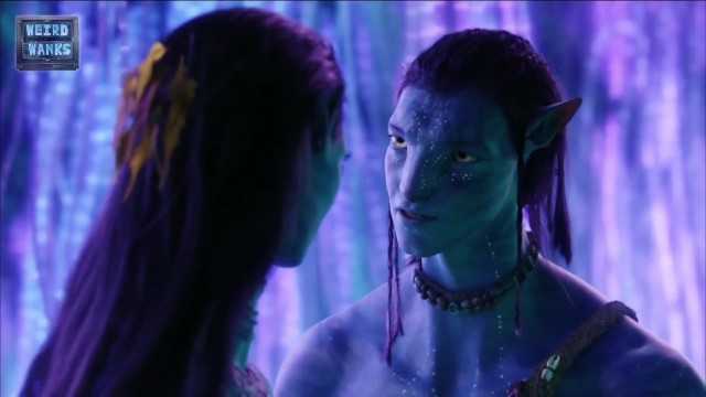 怪异的鹭鸟：阿凡达编辑