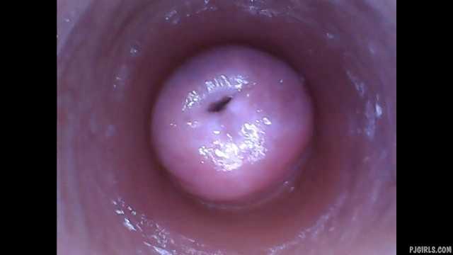 Kira - 变态自拍 (内视镜阴道摄像视频)