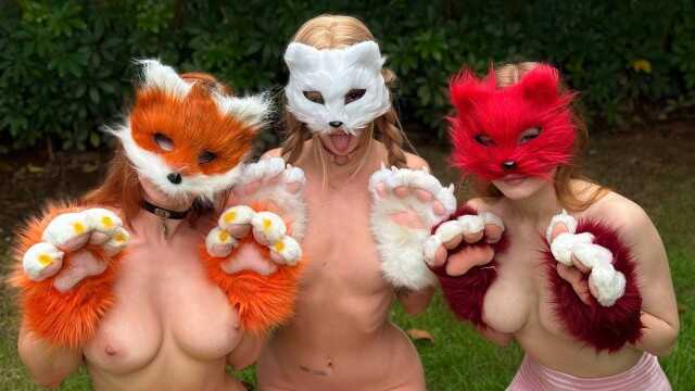 Quadrobers - 他们是谁？