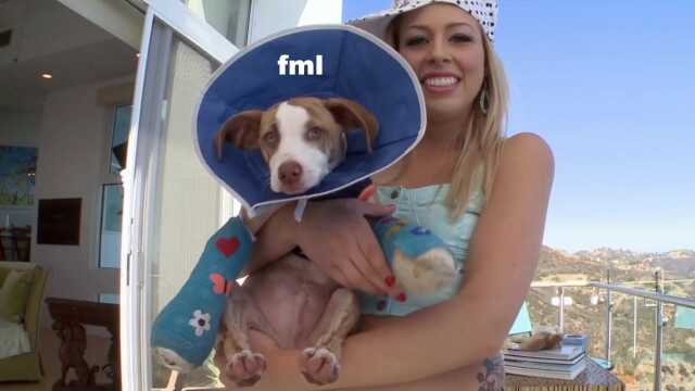 Bangbros - 肛交专家 佐伊·梦露 被 迈克·阿德里亚诺 插入