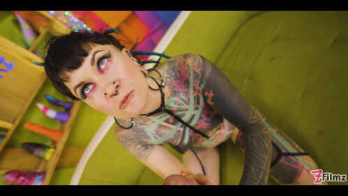 Z-菲尔兹、伊鲁兹 和 帕拉科兹