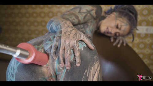 Z-菲尔姆兹 安努斯卡兹