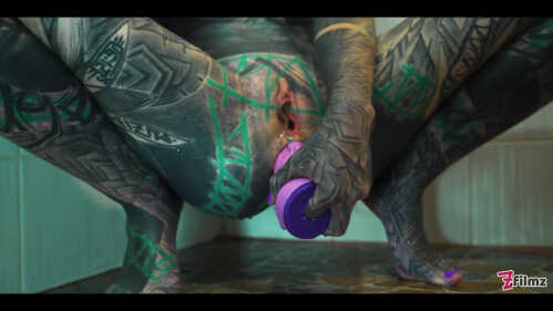 Z-菲尔姆斯 阿努斯卡茨