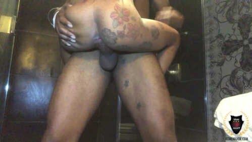 罗马梅杰 迷你种马