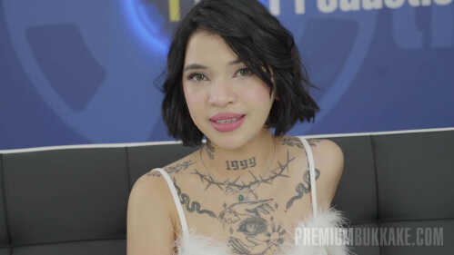 Premium Bukkake 3 采访