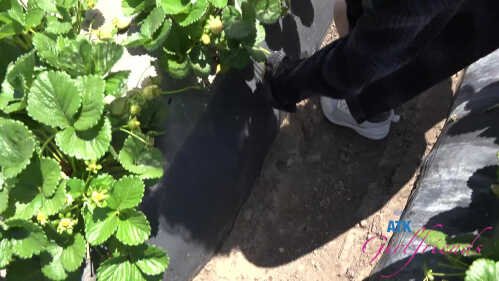 ATK女友 赛琳娜 今井 农场约会 1