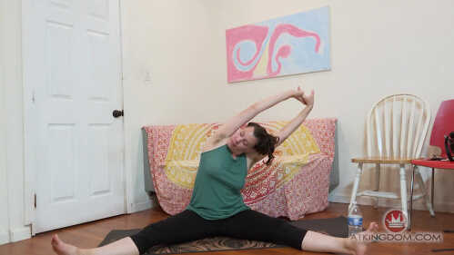 ATK 多毛 伊丽莎白