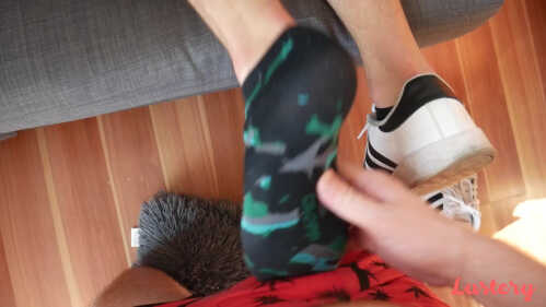 Lustery E1761 亚历克斯和伊桑 散步后足交