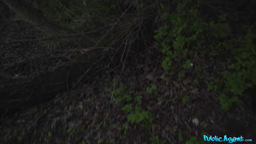 公共代理 梅甘·洛夫