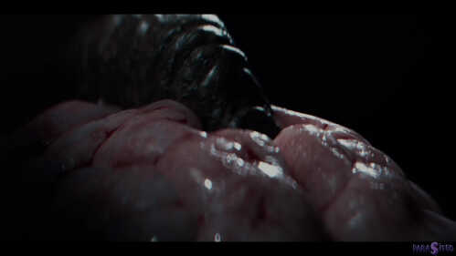 Parasited：Amirah Adara、Connie Perignon 和 Penny Park - 她将偿还的教训