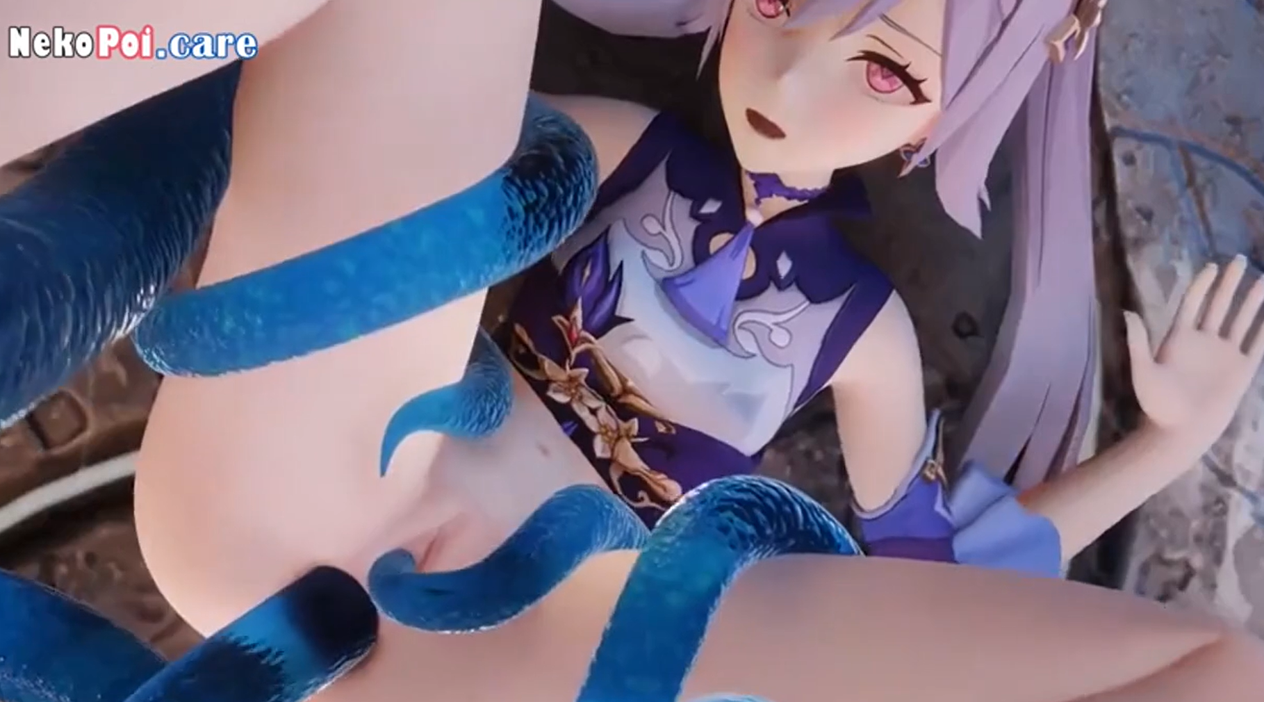 Vicineko Collection Genshin Impact