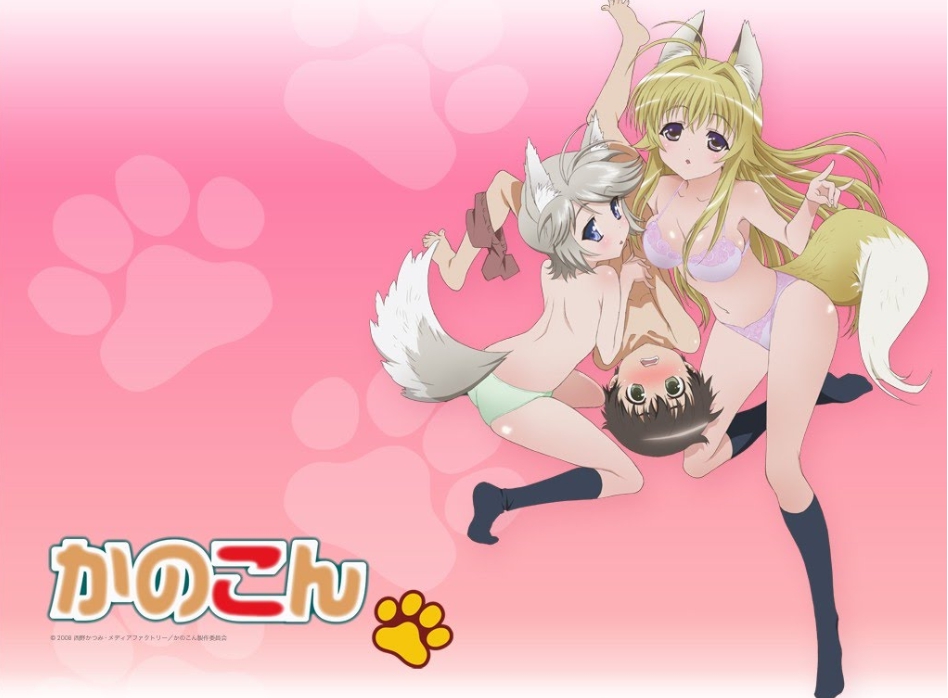 我的狐仙女友 11